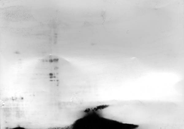 img017a.jpg