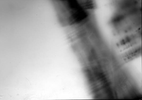 img021.jpg