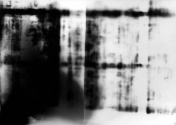 img016a.jpg