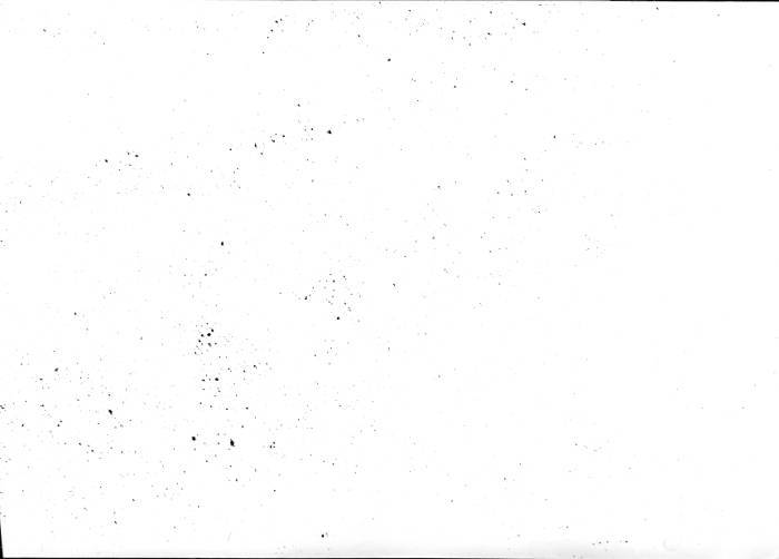 img013big.jpg