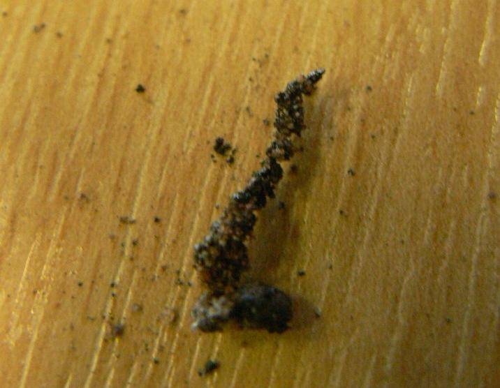 custom_fulgurite.jpg