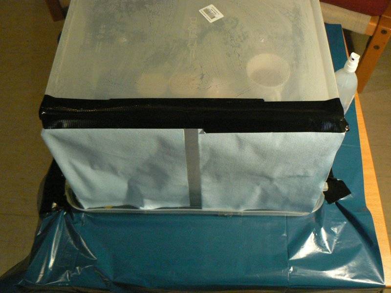 box1.jpg