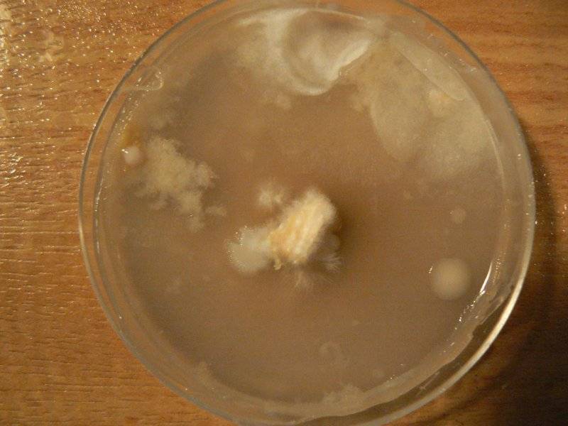 dish4.jpg