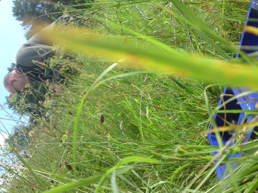 dsc04965.jpg