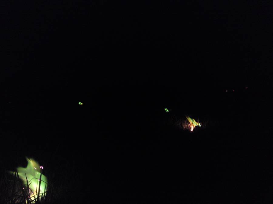 dsc05058.jpg
