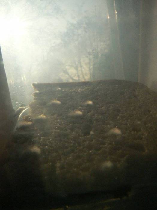 mould1_1511.jpg