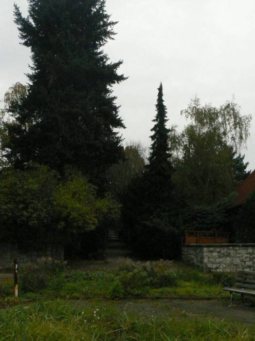 r1.jpg